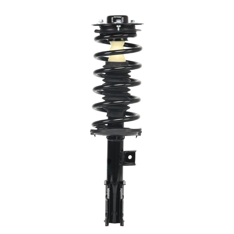 Strut Assembly
