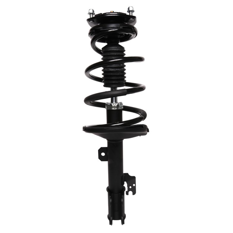 Strut Assembly
