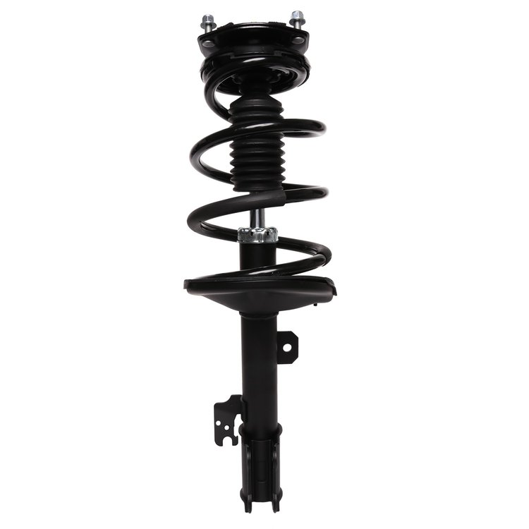 Strut Assembly