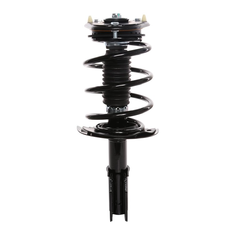 Strut Assembly