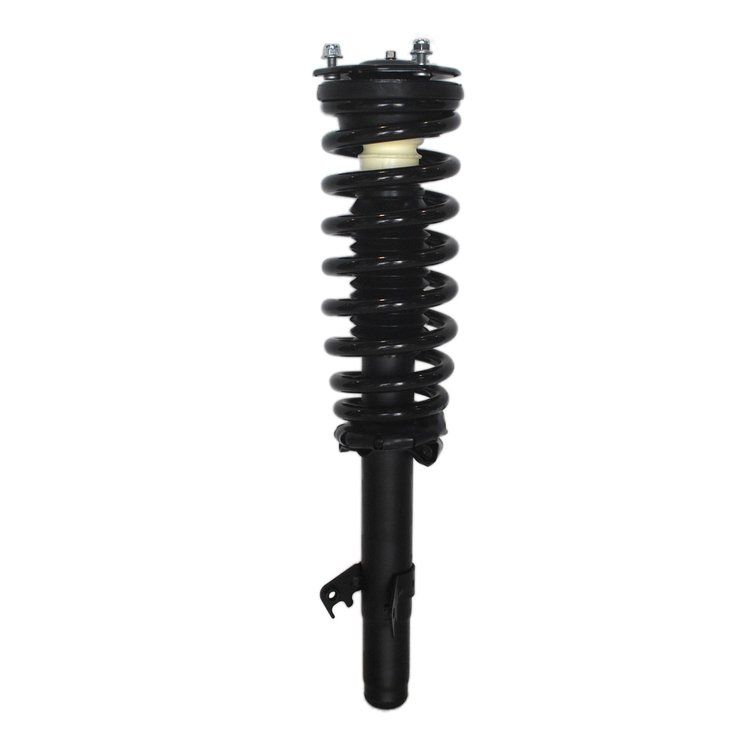 Strut Assembly