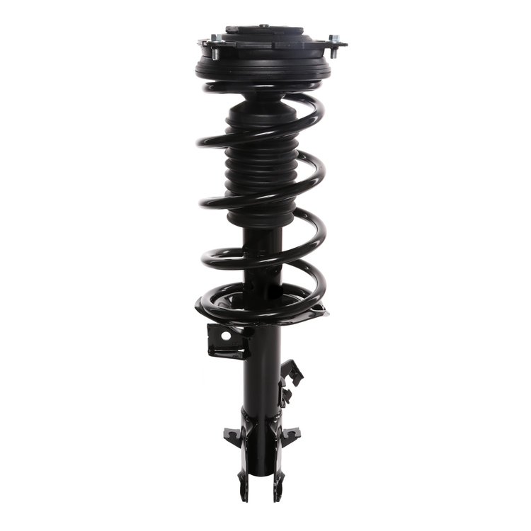 Strut Assembly