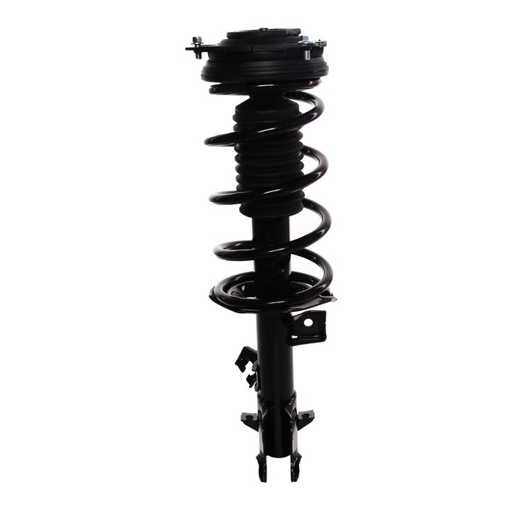 Strut Assembly