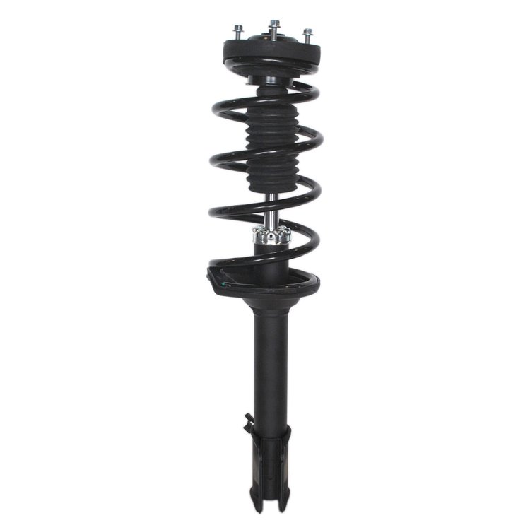 Strut Assembly