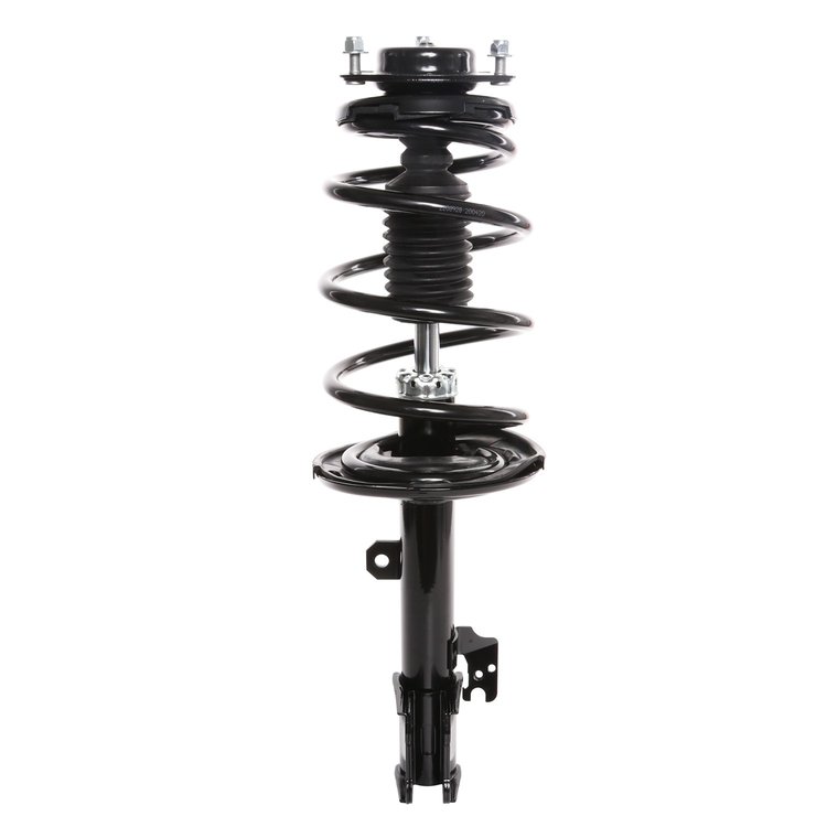 Strut Assembly