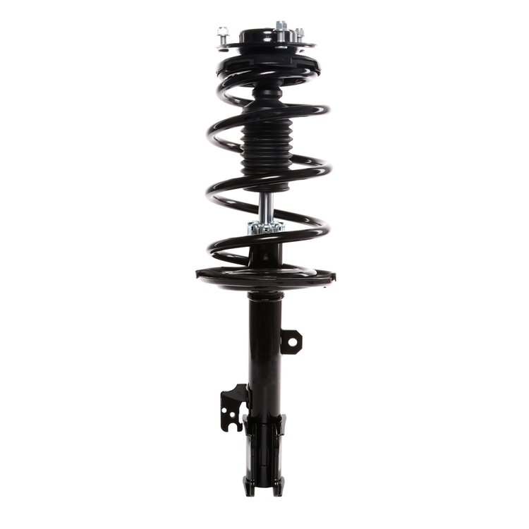 Strut Assembly