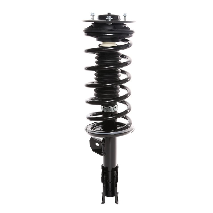 Strut Assembly