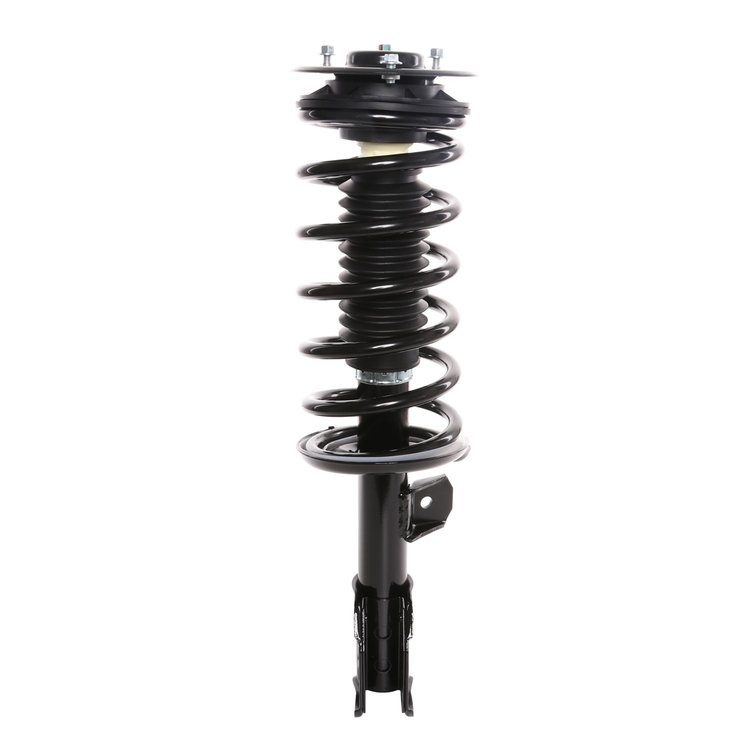 Strut Assembly