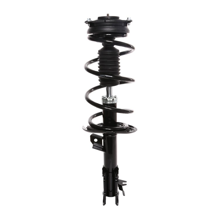 Strut Assembly