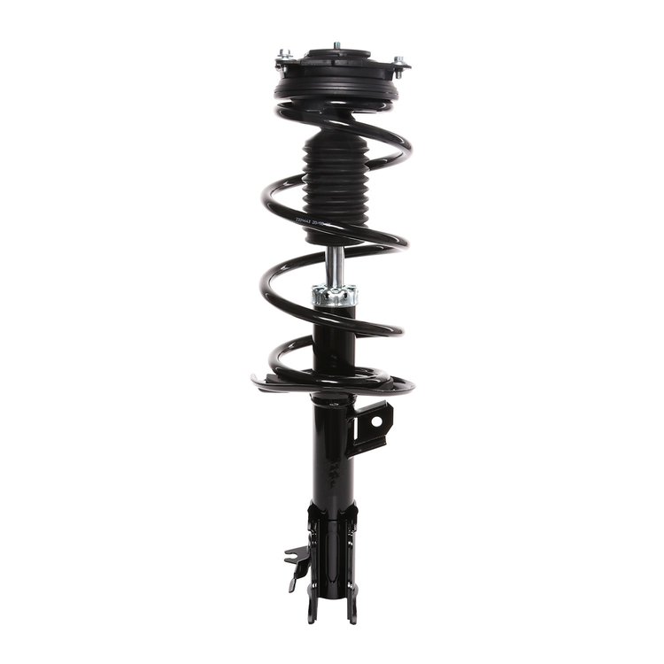 Strut Assembly