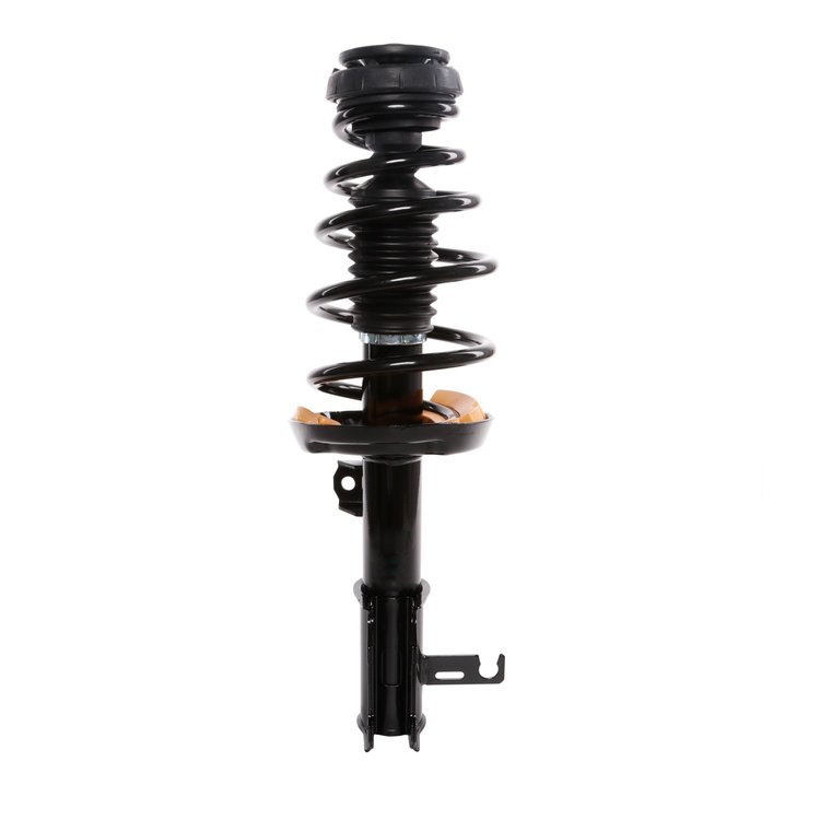 Strut Assembly
