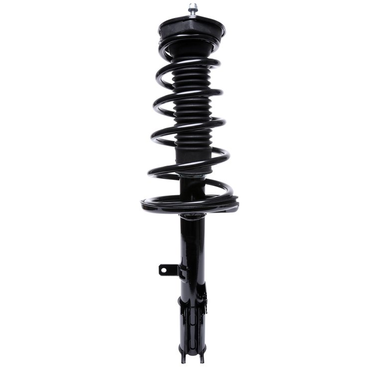 Strut Assembly