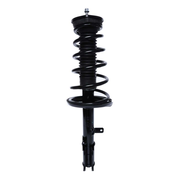 Strut Assembly