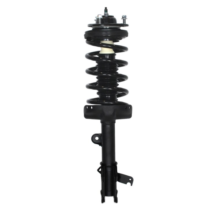 Strut Assembly