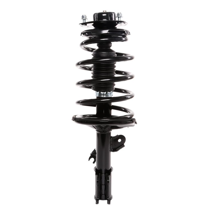 Strut Assembly