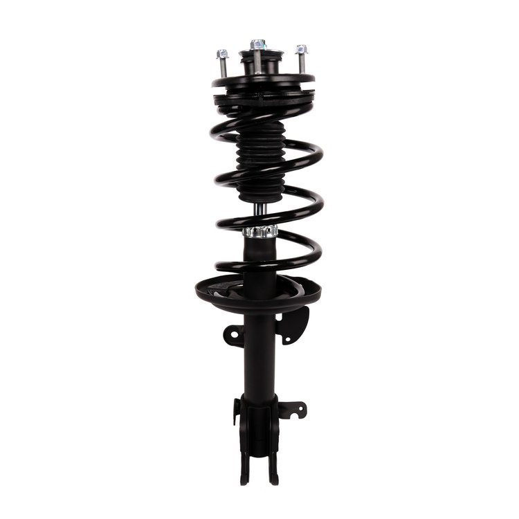 Strut Assembly