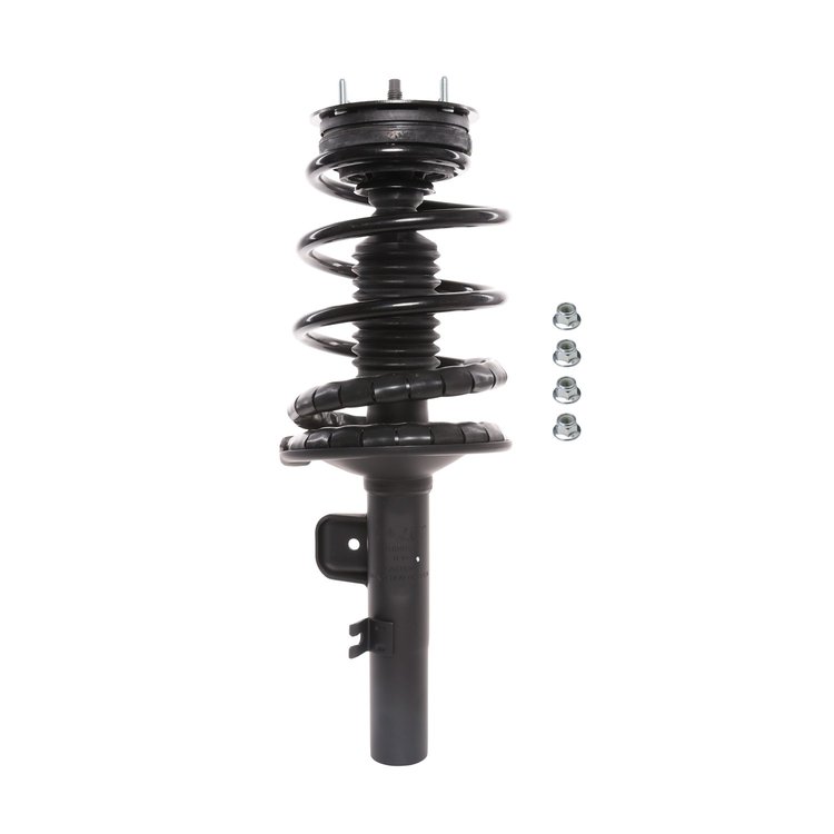 Strut Assembly