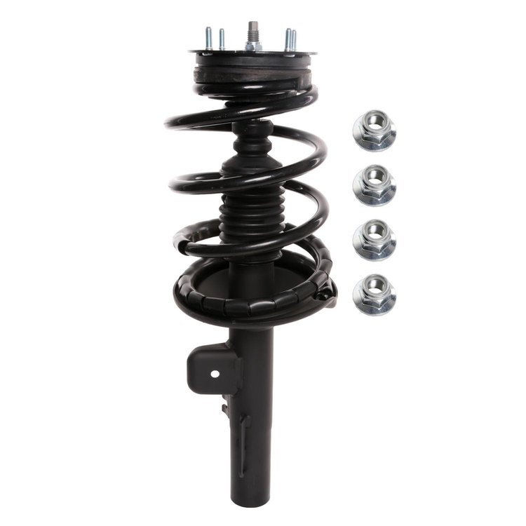 Strut Assembly