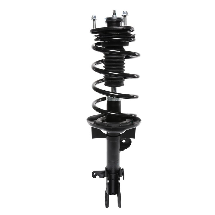 Strut Assembly
