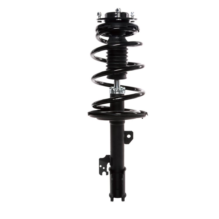 Strut Assembly