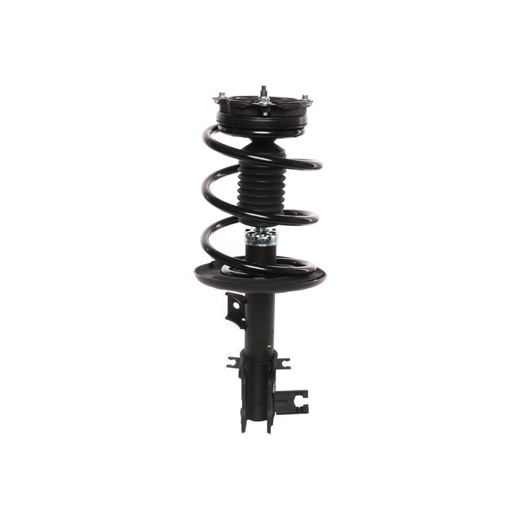 Strut Assembly