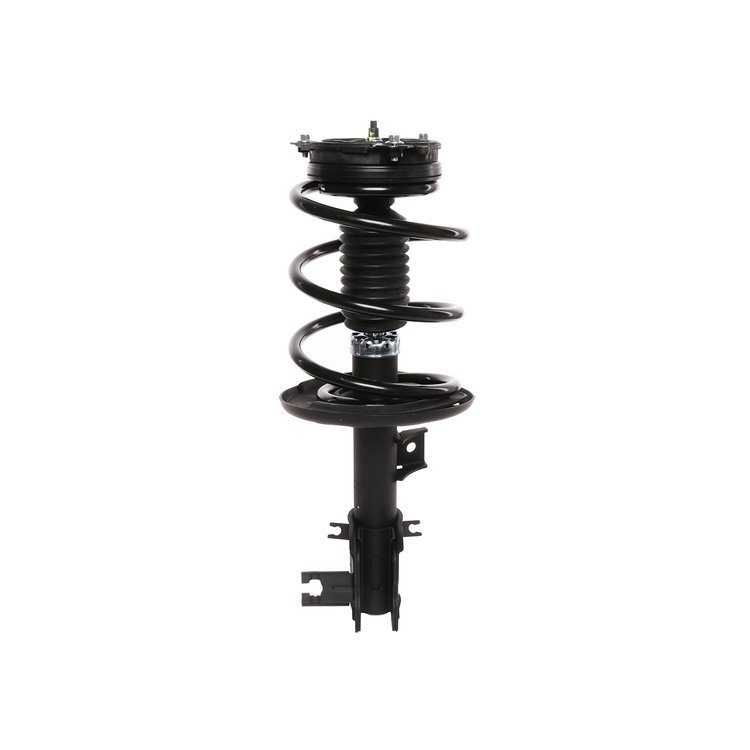 Strut Assembly