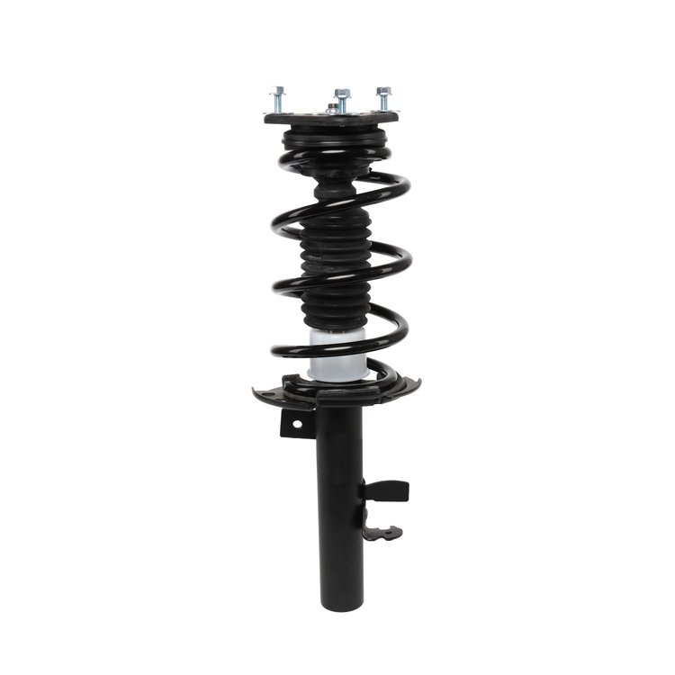 Strut Assembly