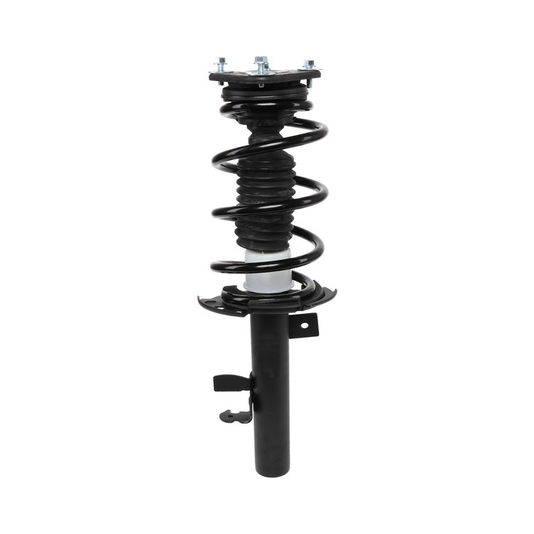 Strut Assembly