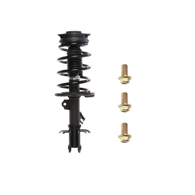 Strut Assembly