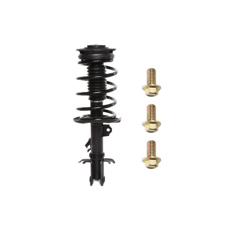 Strut Assembly