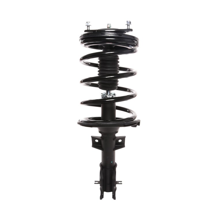 Strut Assembly