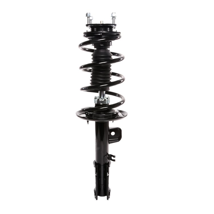 Strut Assembly
