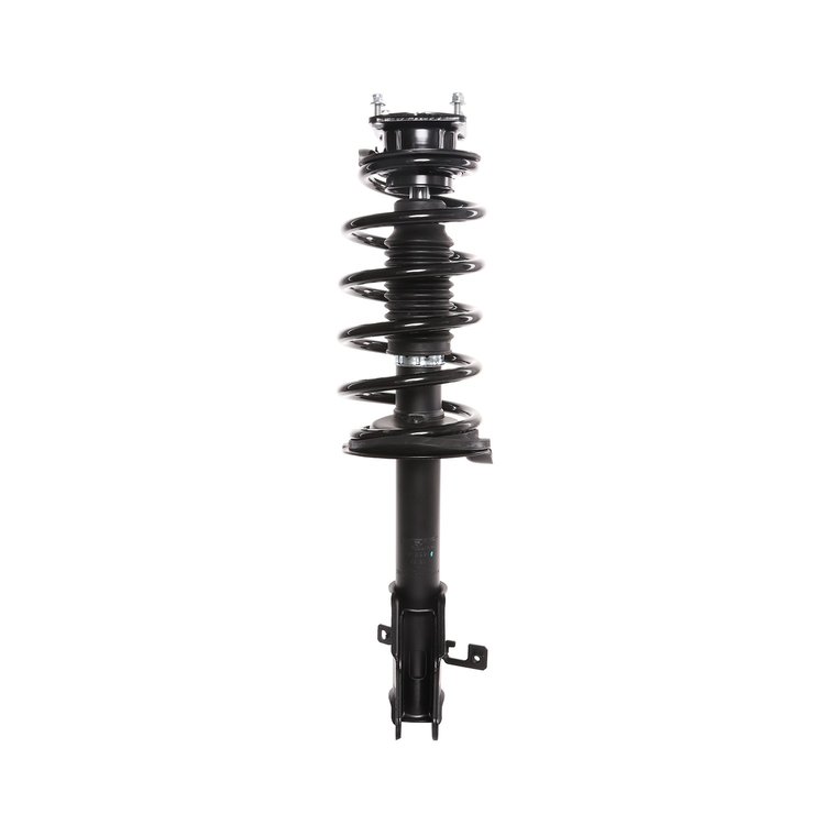 Strut Assembly