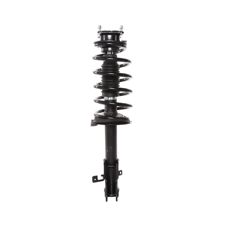 Strut Assembly