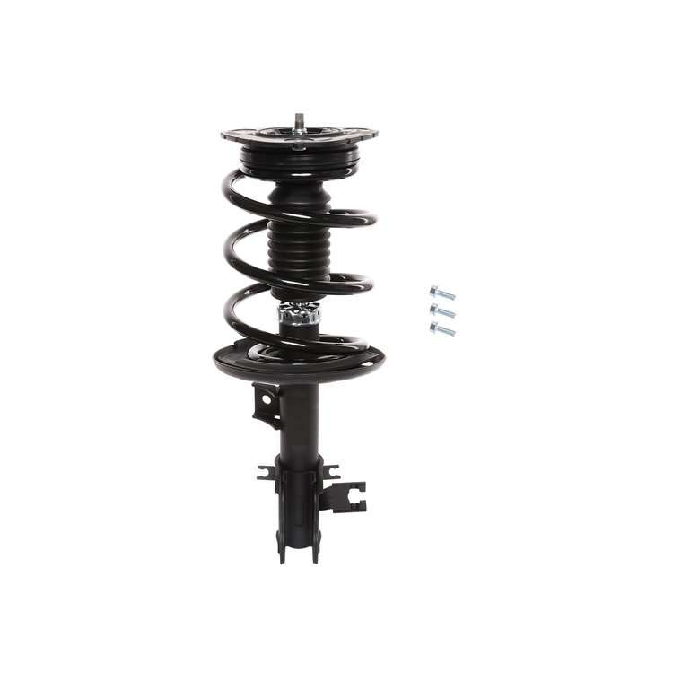 Strut Assembly