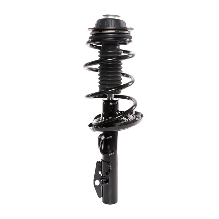Strut Assembly