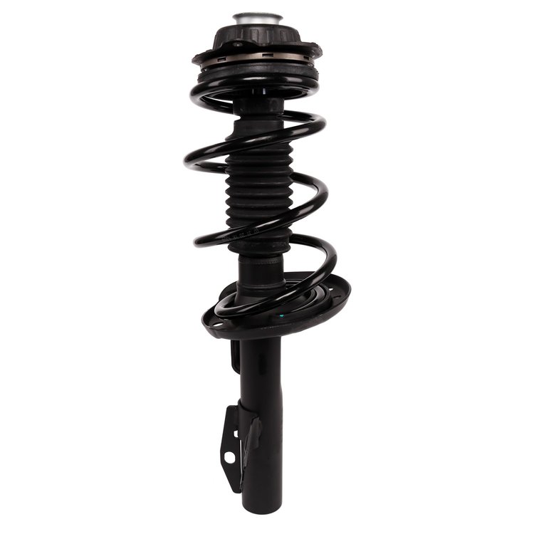 Strut Assembly