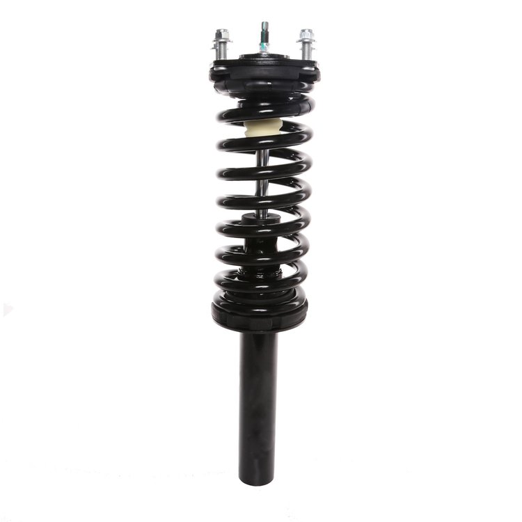 Strut Assembly