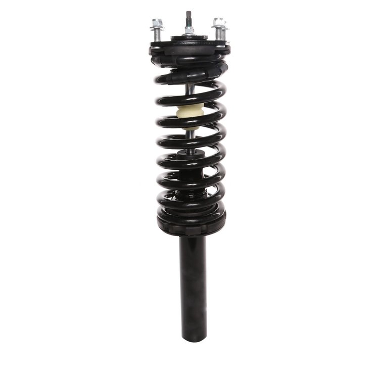Strut Assembly