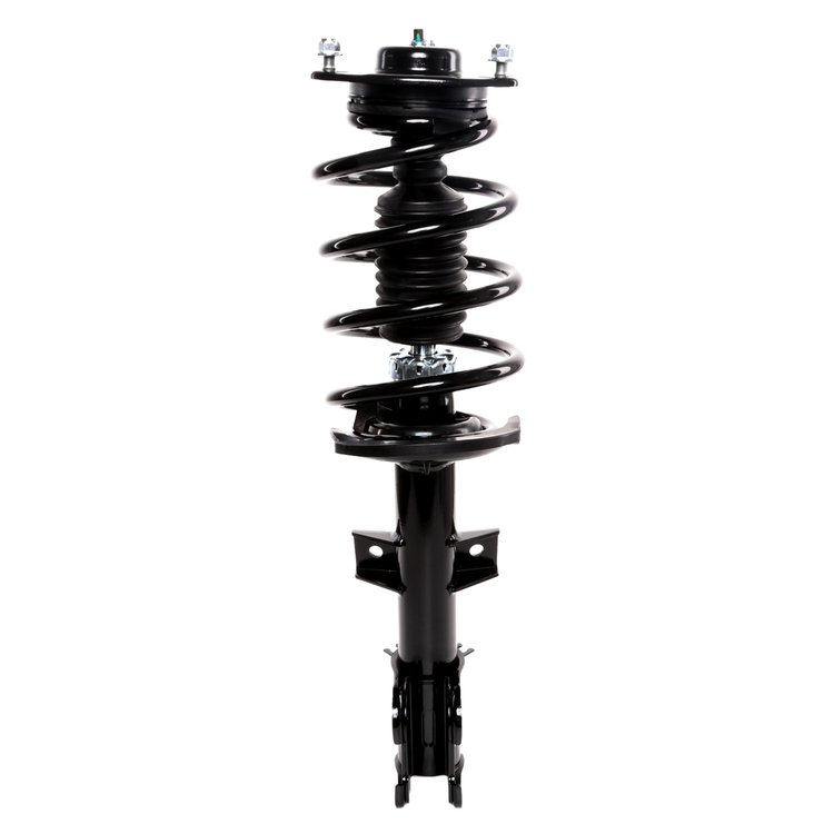 Strut Assembly