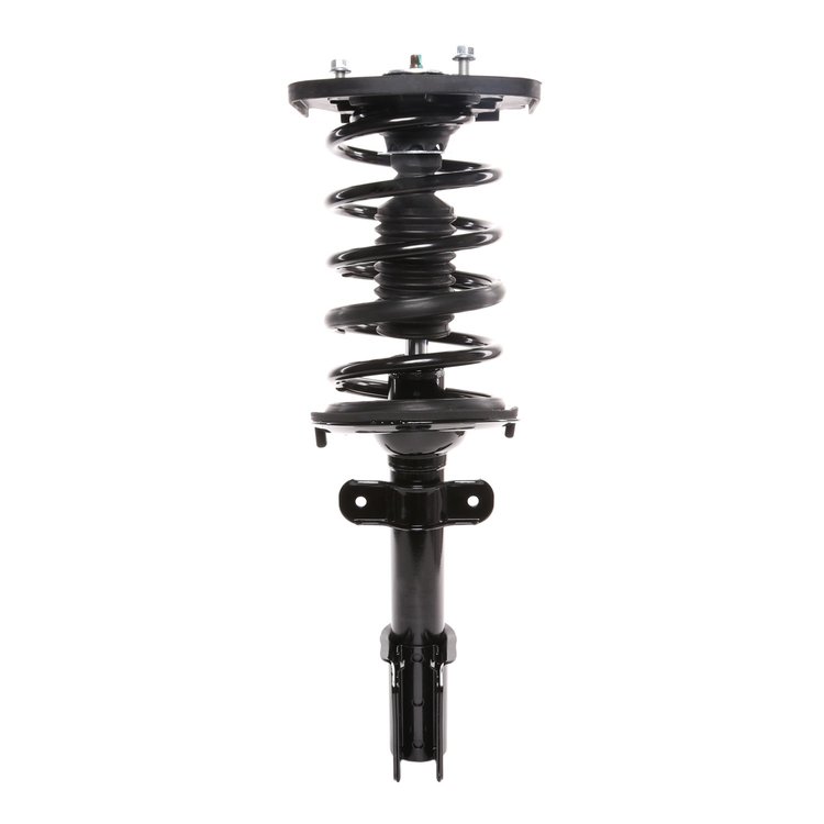 Strut Assembly