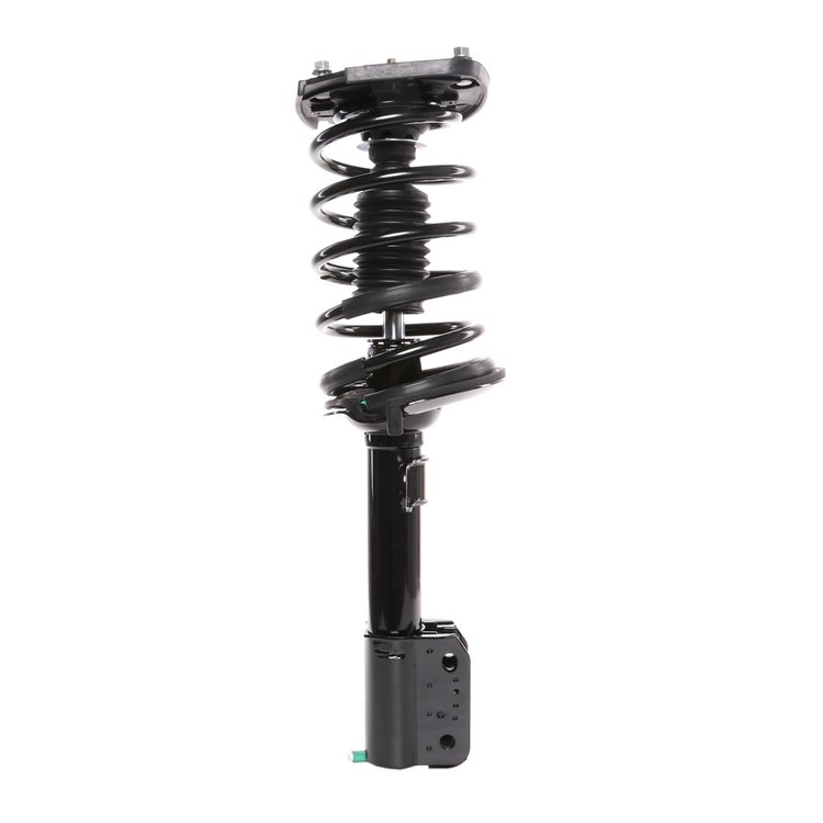Strut Assembly