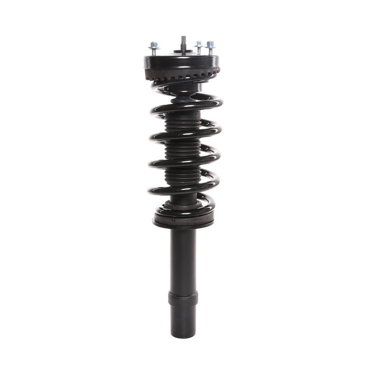Strut Assembly