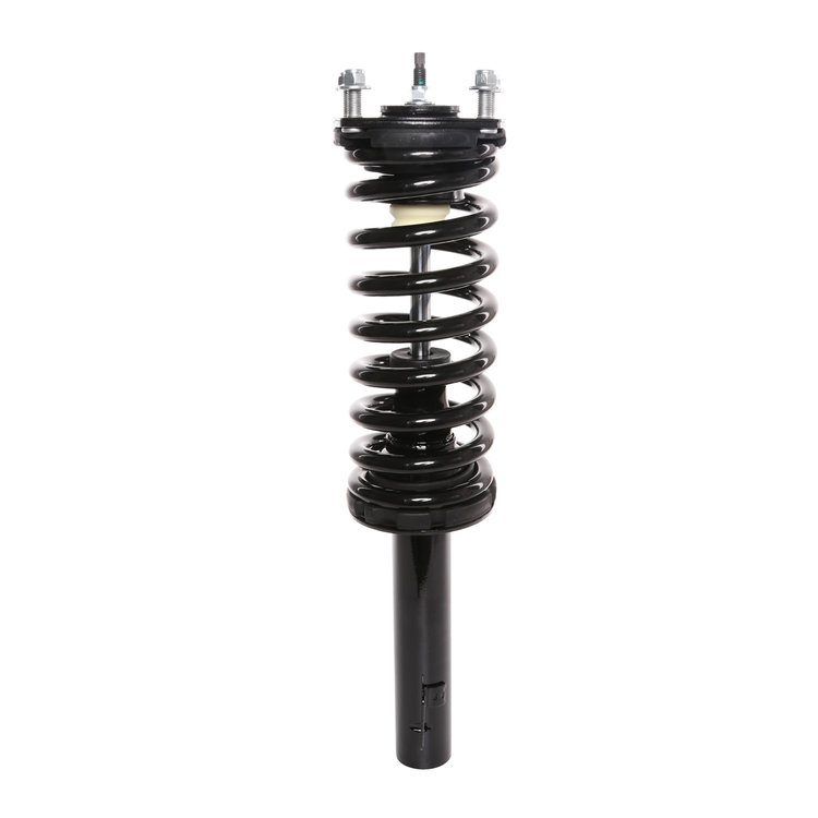 Strut Assembly