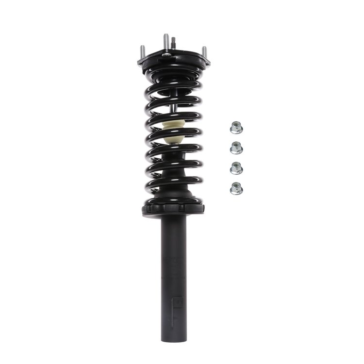 Strut Assembly