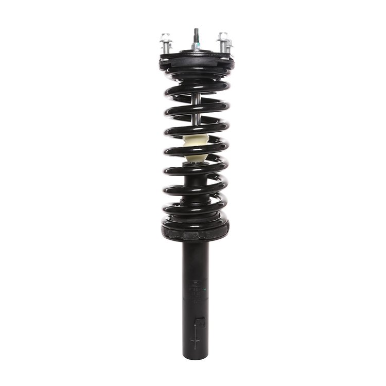 Strut Assembly