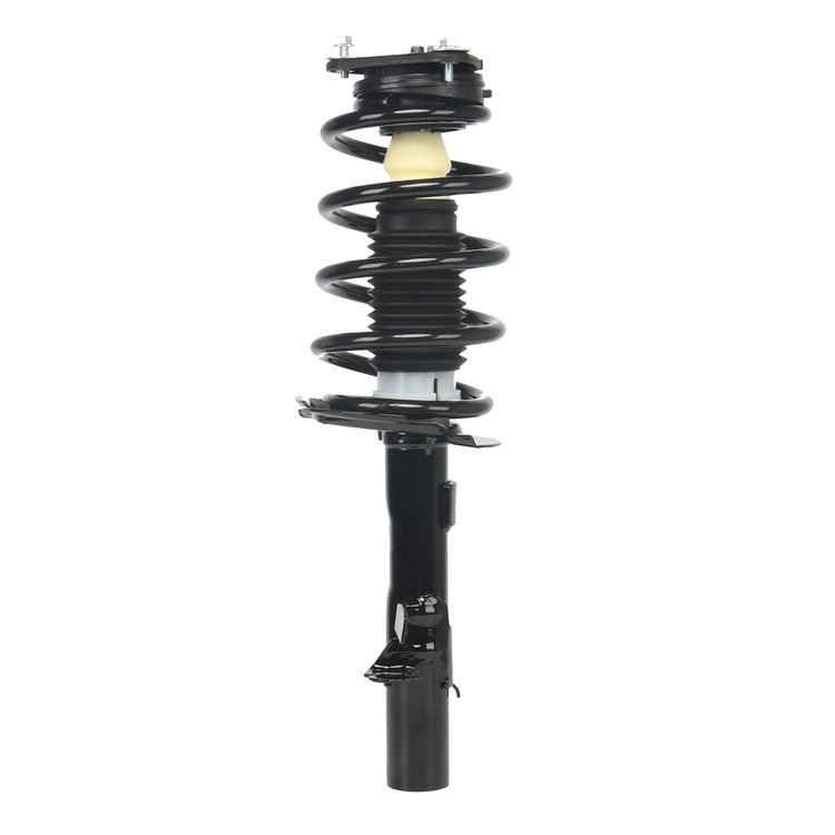 Strut Assembly