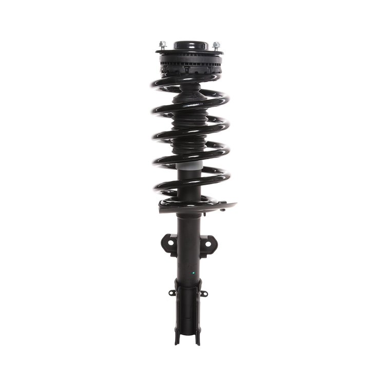 Strut Assembly