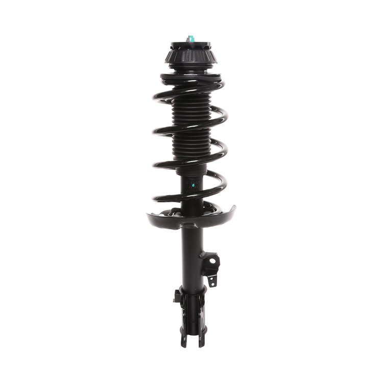 Strut Assembly