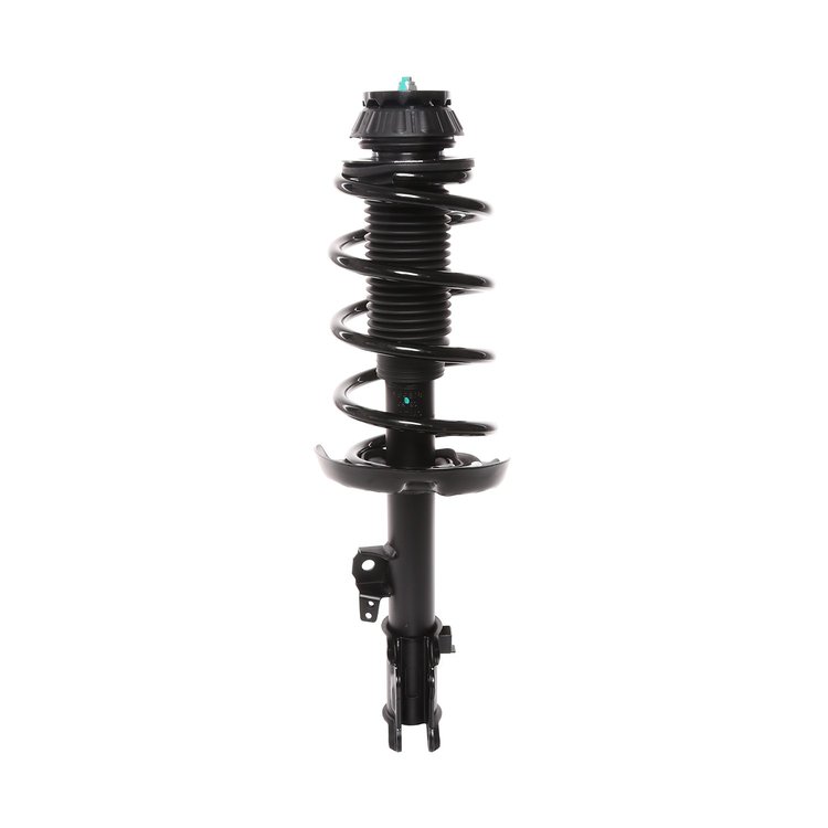 Strut Assembly